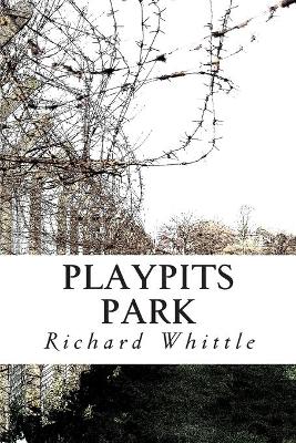 Book cover for Playpits Park