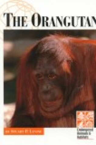 Cover of The Orangutan
