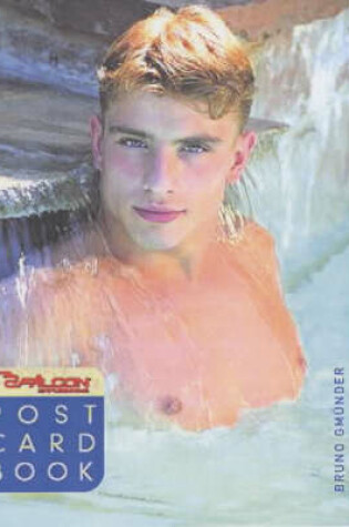 Cover of Postcard Book 37: Best of Young Men