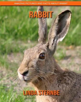 Book cover for Rabbit