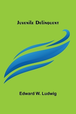 Book cover for Juvenile Delinquent