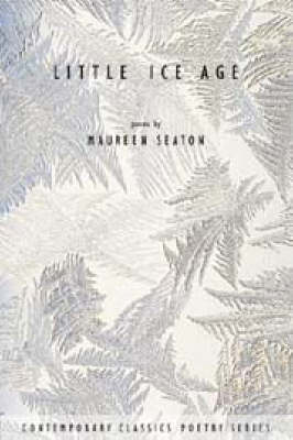 Book cover for Little Ice Age