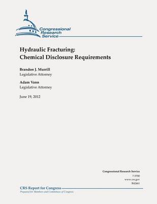 Book cover for Hydraulic Fracturing