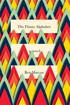 Book cover for The Flame Alphabet