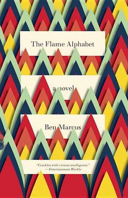 Book cover for The Flame Alphabet