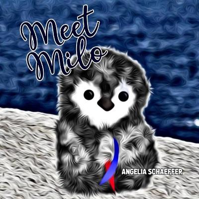 Book cover for Meet Milo