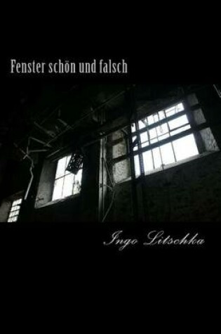 Cover of Fenster Schon Und Falsch