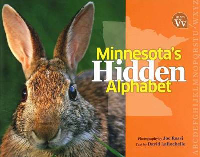 Book cover for Minnesota's Hidden Alphabet