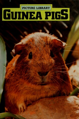 Cover of Guinea Pigs