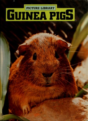 Book cover for Guinea Pigs