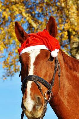 Book cover for Santa Horse Ready for Christmas