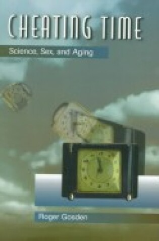 Cover of Cheating Time Godsen