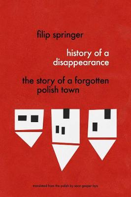 Book cover for History Of A Disappearance