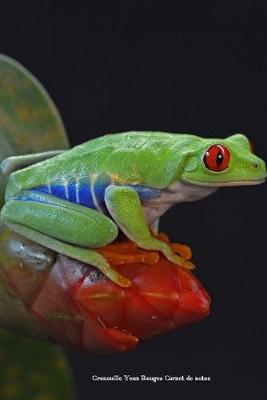 Book cover for Grenouille Yeux Rouges Carnet de notes