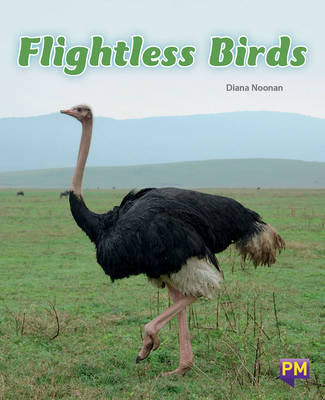 Book cover for Flightless Birds