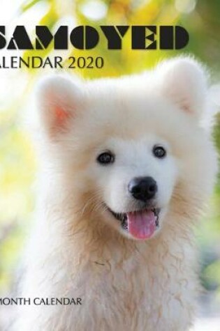 Cover of Samoyed Calendar 2020