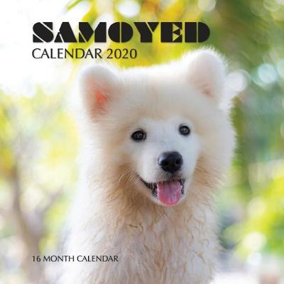 Book cover for Samoyed Calendar 2020