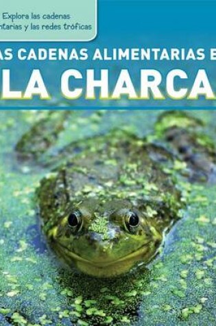 Cover of Las Cadenas Alimentarias En La Charca (Pond Food Chains)