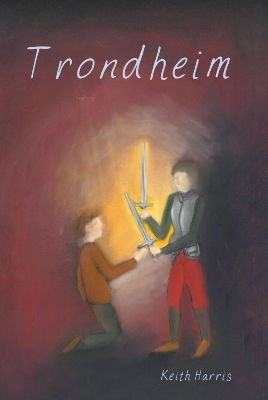 Book cover for Trondheim