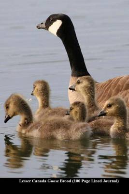 Book cover for Lesser Canada Goose Brood (100 Page Lined Journal)