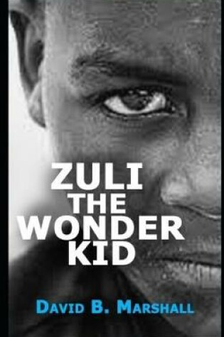 Cover of Zuli the Wonder Kid