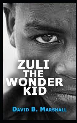 Book cover for Zuli the Wonder Kid