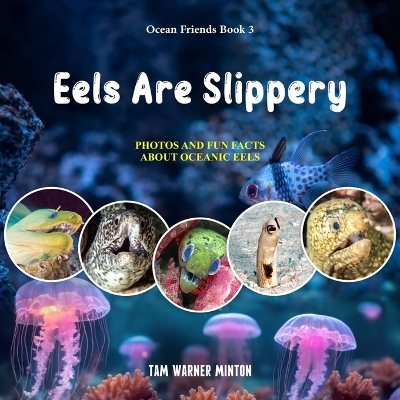 Book cover for Eels are Slippery