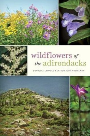 Cover of Wildflowers of the Adirondacks