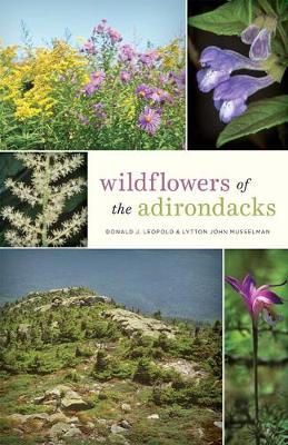 Book cover for Wildflowers of the Adirondacks