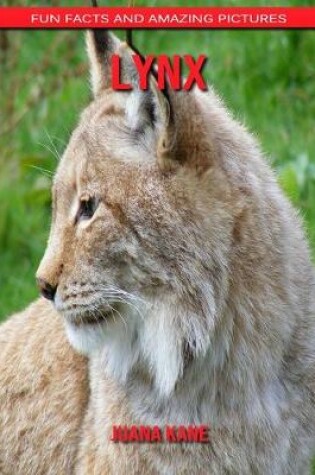 Cover of Lynx