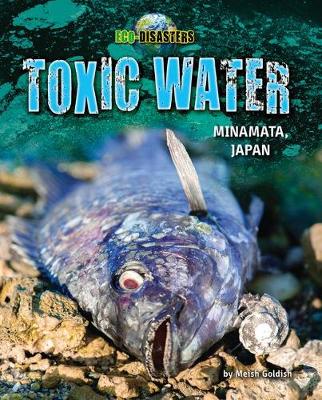 Book cover for Toxic Water