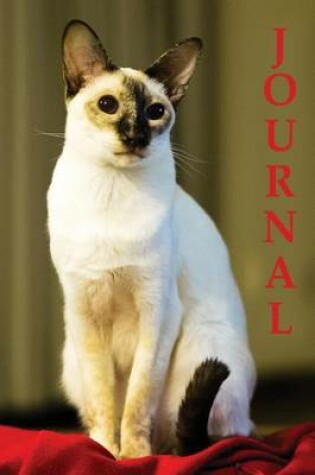 Cover of Journal