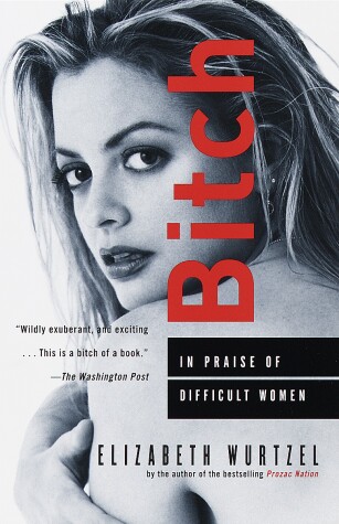 Book cover for Bitch
