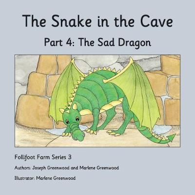 Cover of The Sad Dragon