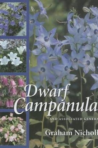 Cover of Dwarf Campanulas