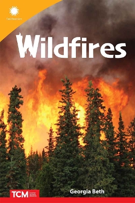 Book cover for Wildfires