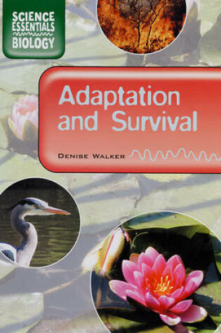 Cover of Adaption and Survival