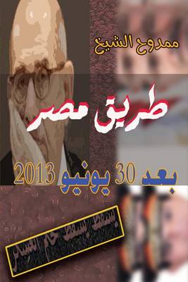 Book cover for Egypt After June 30, 2013