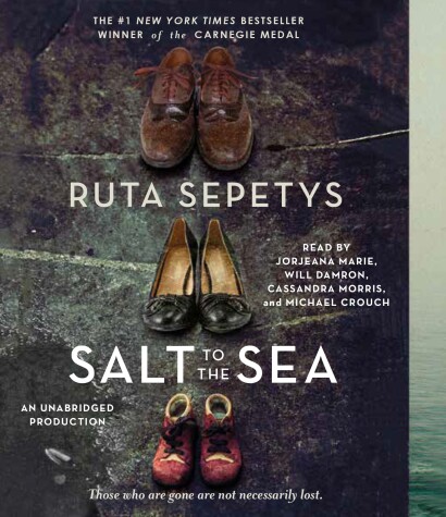 Book cover for Salt to the Sea