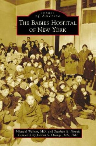 Cover of The Babies Hospital of New York