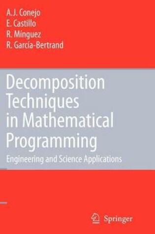 Cover of Decomposition Techniques in Mathematical Programming: Engineering and Science Applications