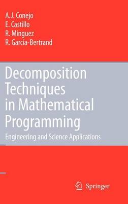 Book cover for Decomposition Techniques in Mathematical Programming: Engineering and Science Applications