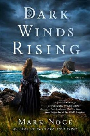 Cover of Dark Winds Rising