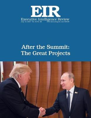 Book cover for After the Summit