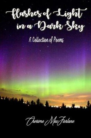 Cover of Flashes of Light in a Dark Sky