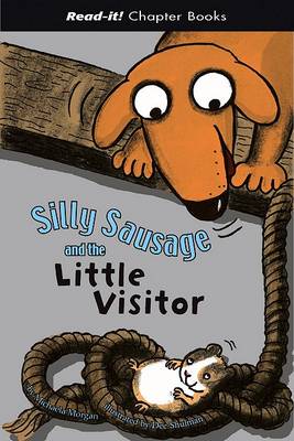 Book cover for Silly Sausage and the Little Visitor