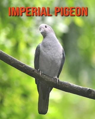 Book cover for Imperial Pigeon