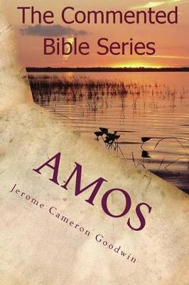 Book cover for Amos