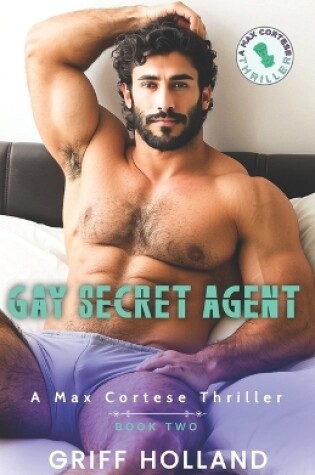Cover of Gay Secret Agent