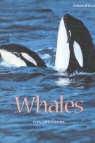 Cover of Whales